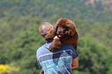 ADULTE ET CHIEN 102